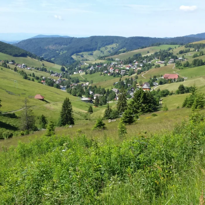 Schwarzwald Panorama Sommer