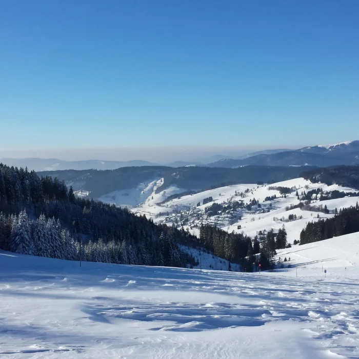 Schwarzwald Panorama Winter